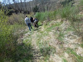 baladepique-nique2017dbut22