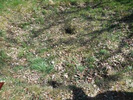 baladepique-nique2017dbut30