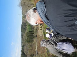 baladepique-nique2017dbut51