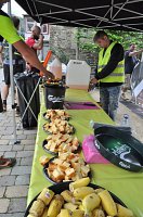 20430048_796141873893014_5115029840125923950_n