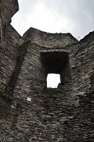 20525757_796142693892932_238717358316716379_n