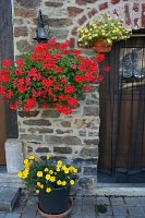 fleursjuillet2018001