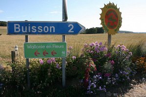 fleursjuillet2018008