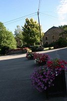 fleursjuillet2018013