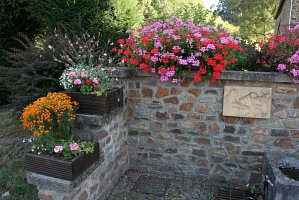 fleursjuillet2018022