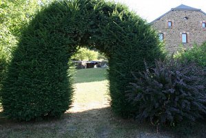 fleursjuillet2018024