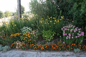 fleursjuillet2018029