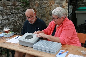 marchehoublonneebuisson22juillet22004