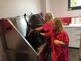 22552455_1941451376113526_520522746792379707_n