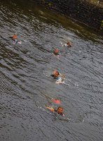 19656908_1916304335324609_6027474585552835792_n