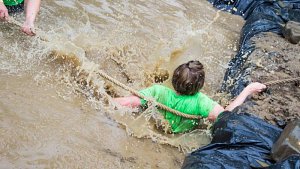 19875198_1919156981706011_3742760060675366855_n