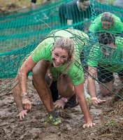 19875460_1917716601850049_4955775283826316647_n